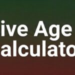 Live Age Counter